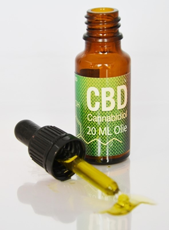 CBD Oil Dogs Pain Man 
      WV